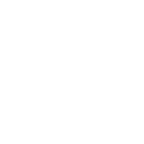 Racing Track Le Mans3