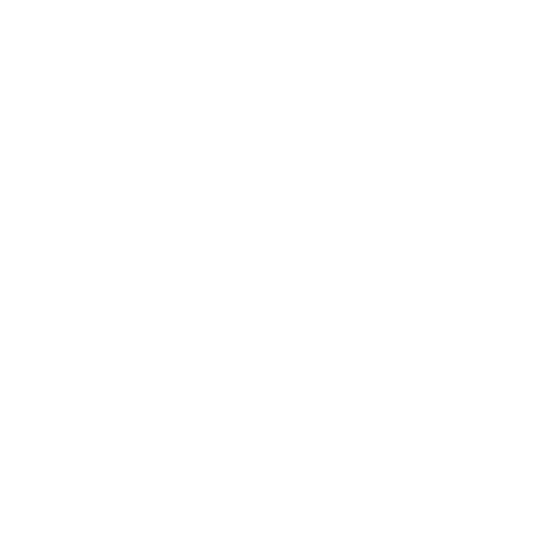 Racing Track Silverstone3