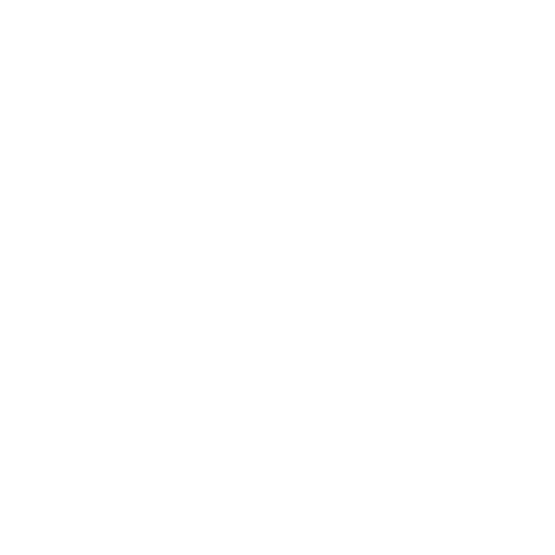 Racing Track larkhall3